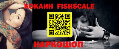 a pvp Камышлов
