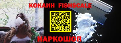 a pvp Камышлов