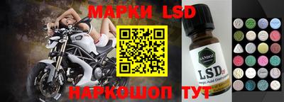 a pvp Камышлов