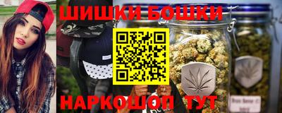 a pvp Камышлов