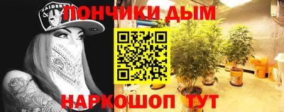 a pvp Камышлов