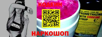 a pvp Камышлов