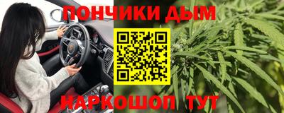 a pvp Камышлов