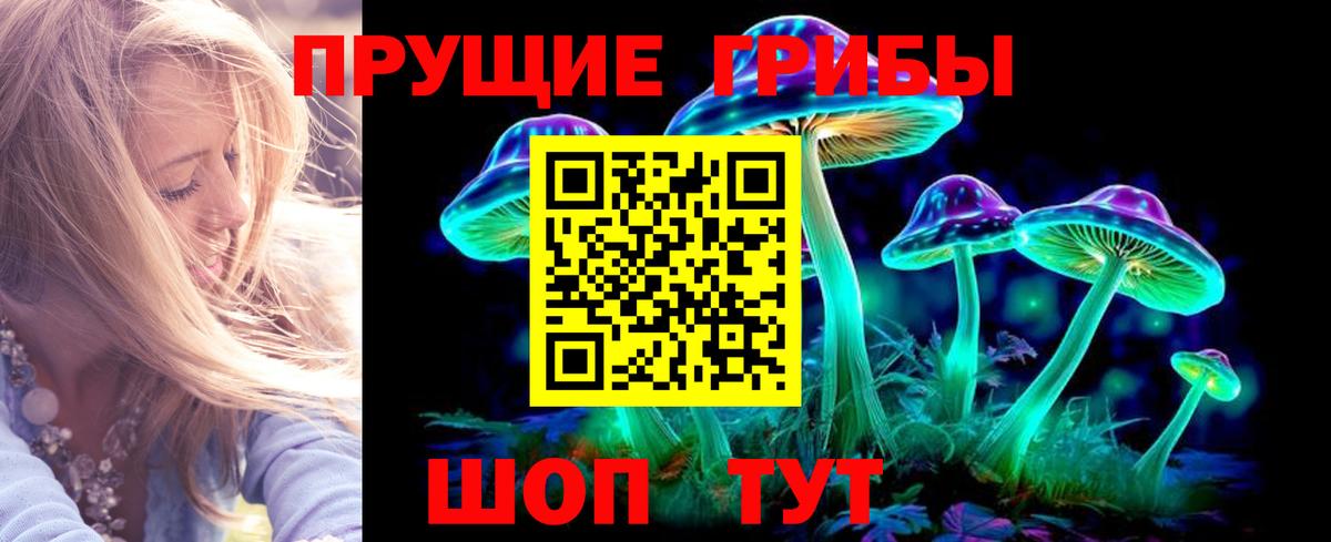 Галлюциногенные грибы Psilocybine cubensis Крымск