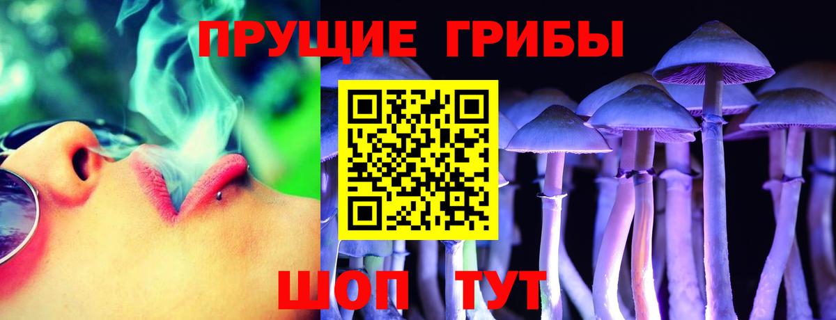 Крымск  Псилоцибиновые грибы Psilocybe  Вход с VPN 